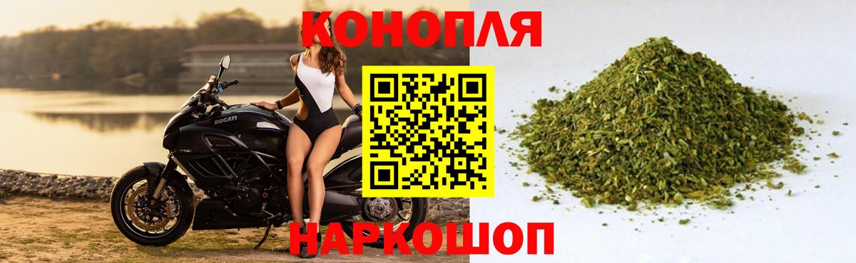 Бошки Шишки гибрид Чапаевск